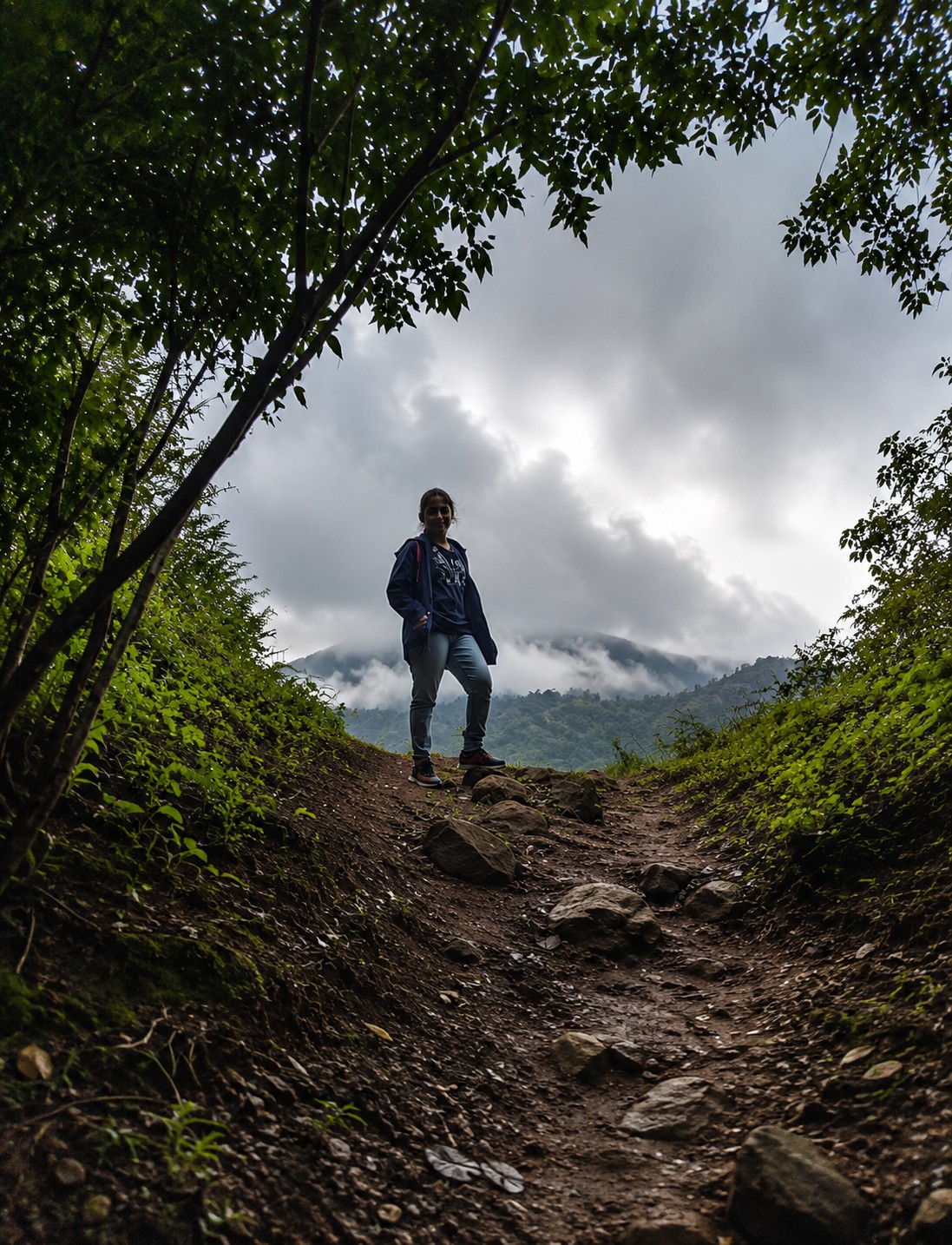 Guided forest trek along the Paithalmala peaks